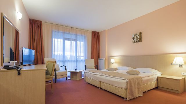 Orpheus Spa Hotel - double/twin room
