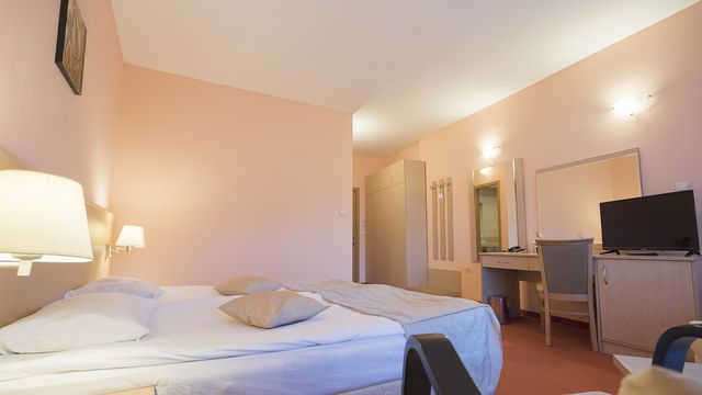 Orpheus Spa Hotel - single standard room ( no balcony)